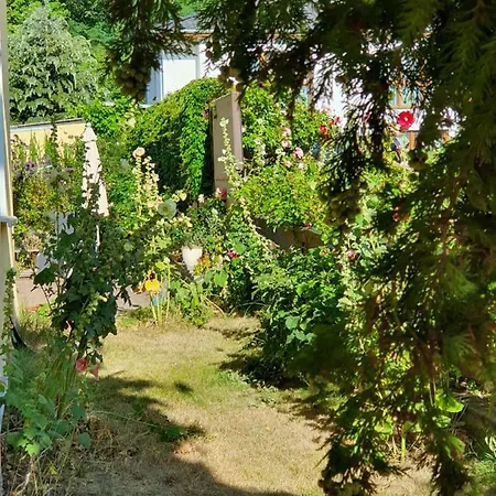 Ferienwohnung Ole Zinnowitz Exterior photo